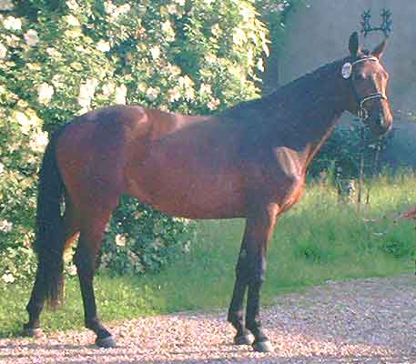 Sabrina im Sommer 2004